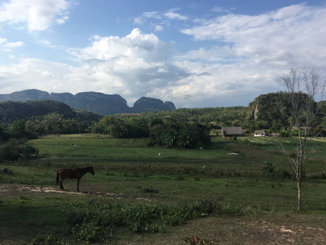 馬の見える景色