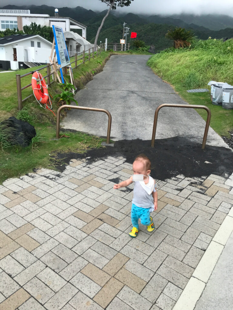 海岸を指さすコニー