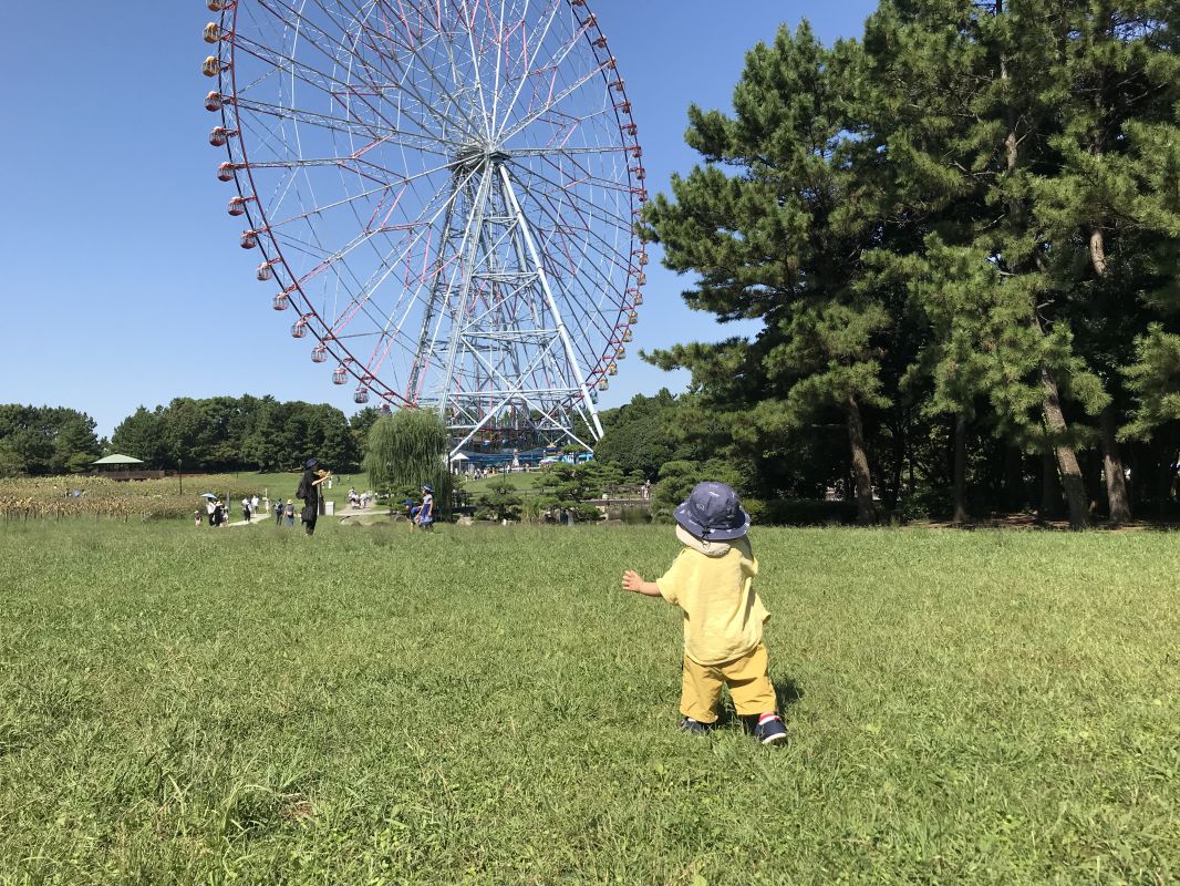 観覧車へ向かって