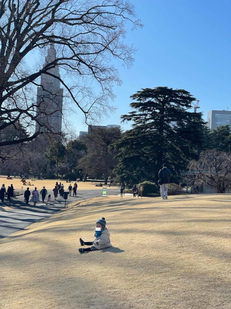 芝滑り