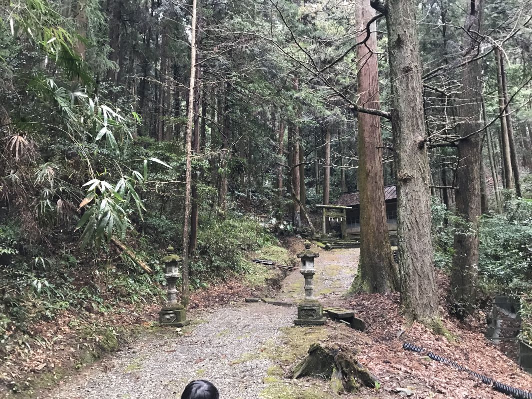 神社へ続く参道