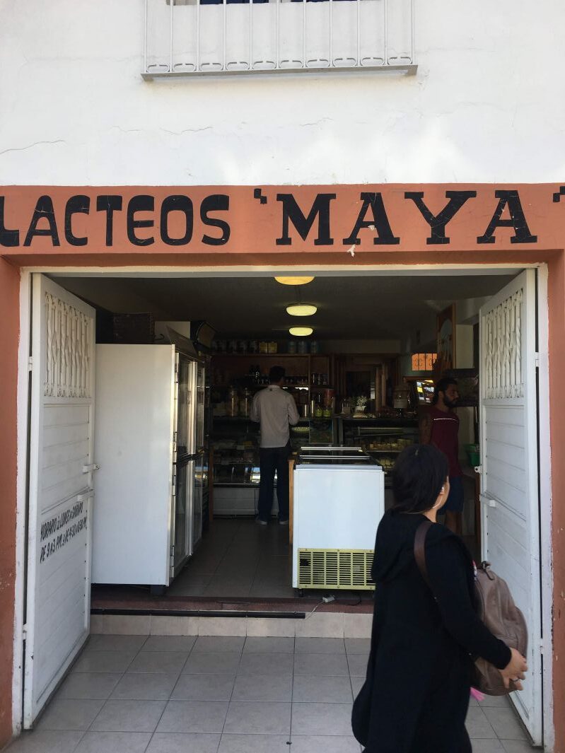 LACTEOS 'MAYA'の入り口