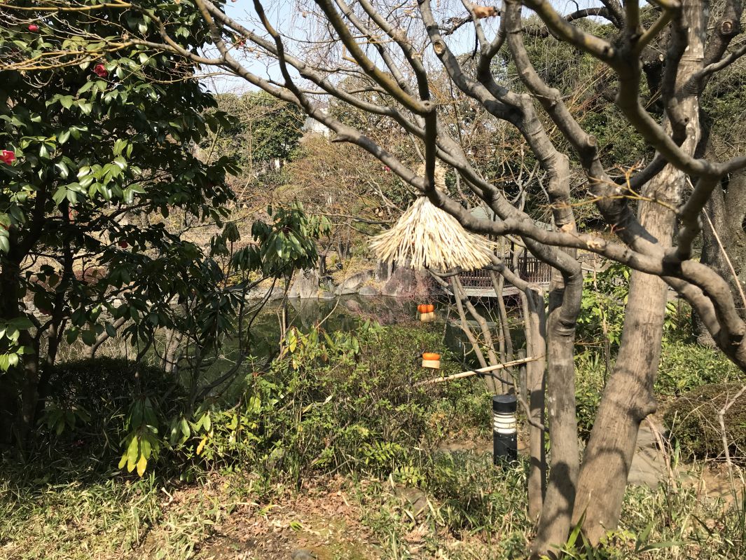 目白庭園の草木