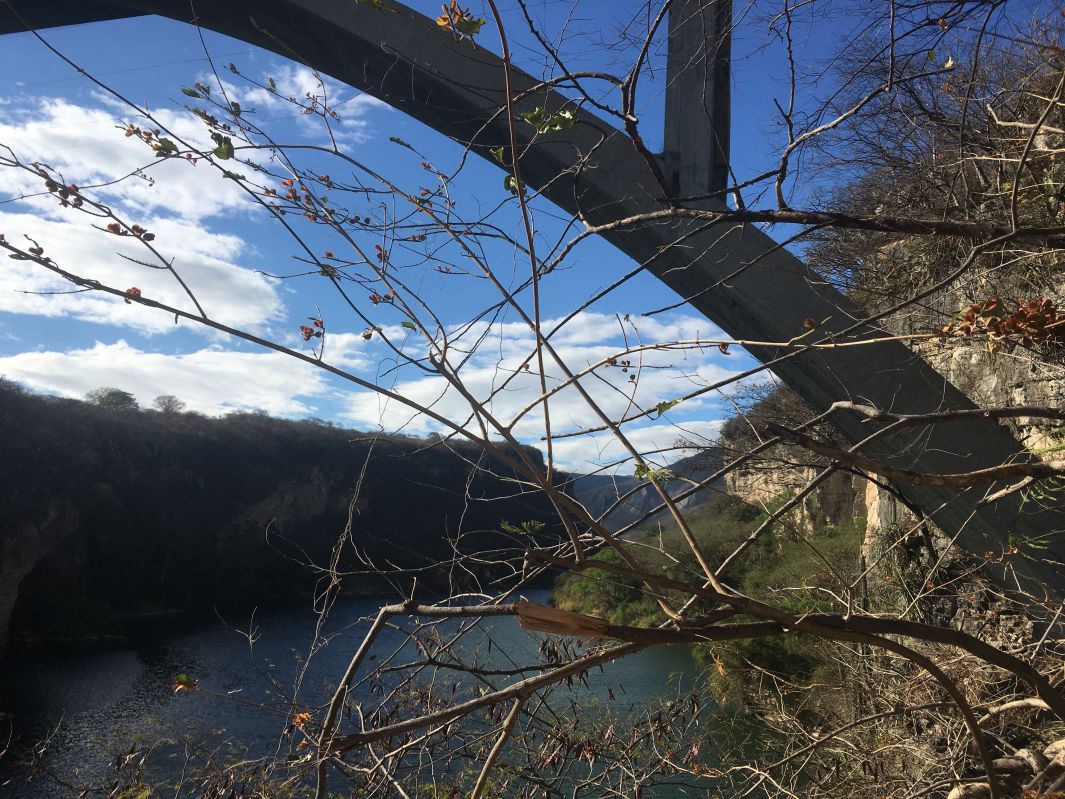 ちょっと気が邪魔な景色