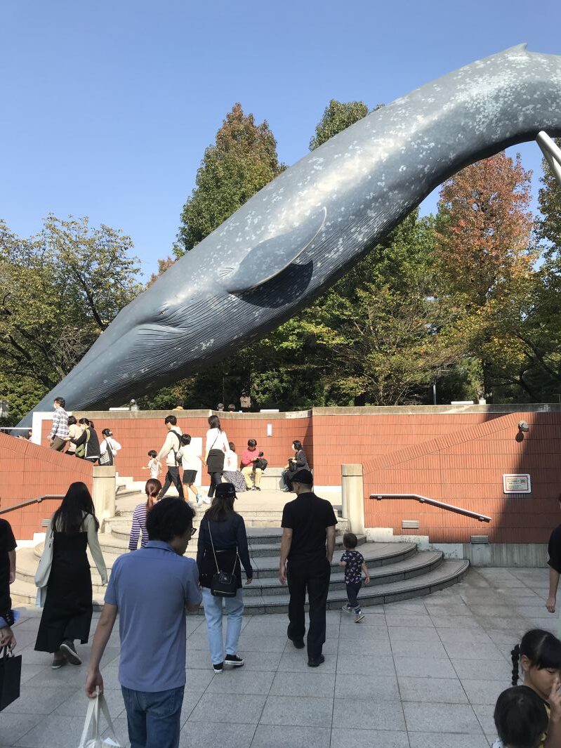 例のクジラを見て走り出すコニー