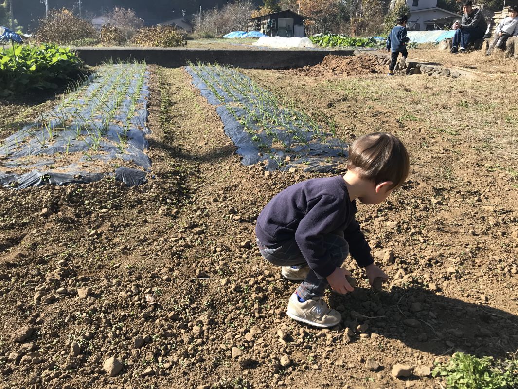 土を拾うコニー