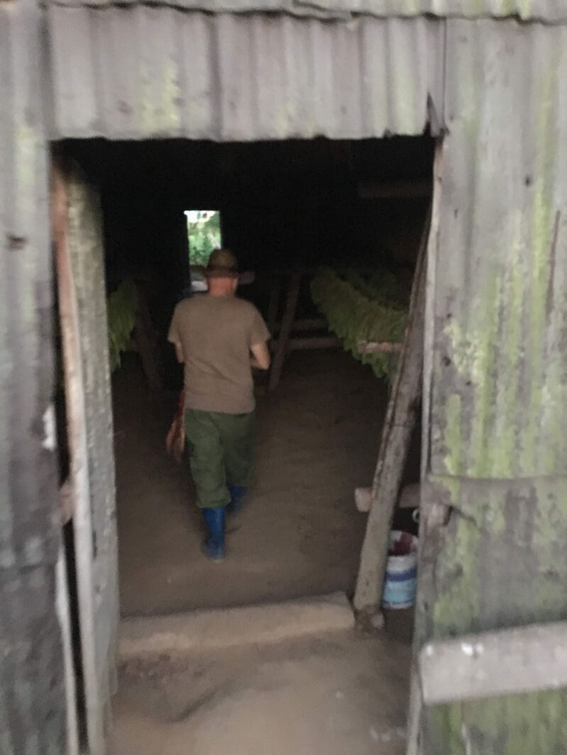 タバコの葉を干す小屋