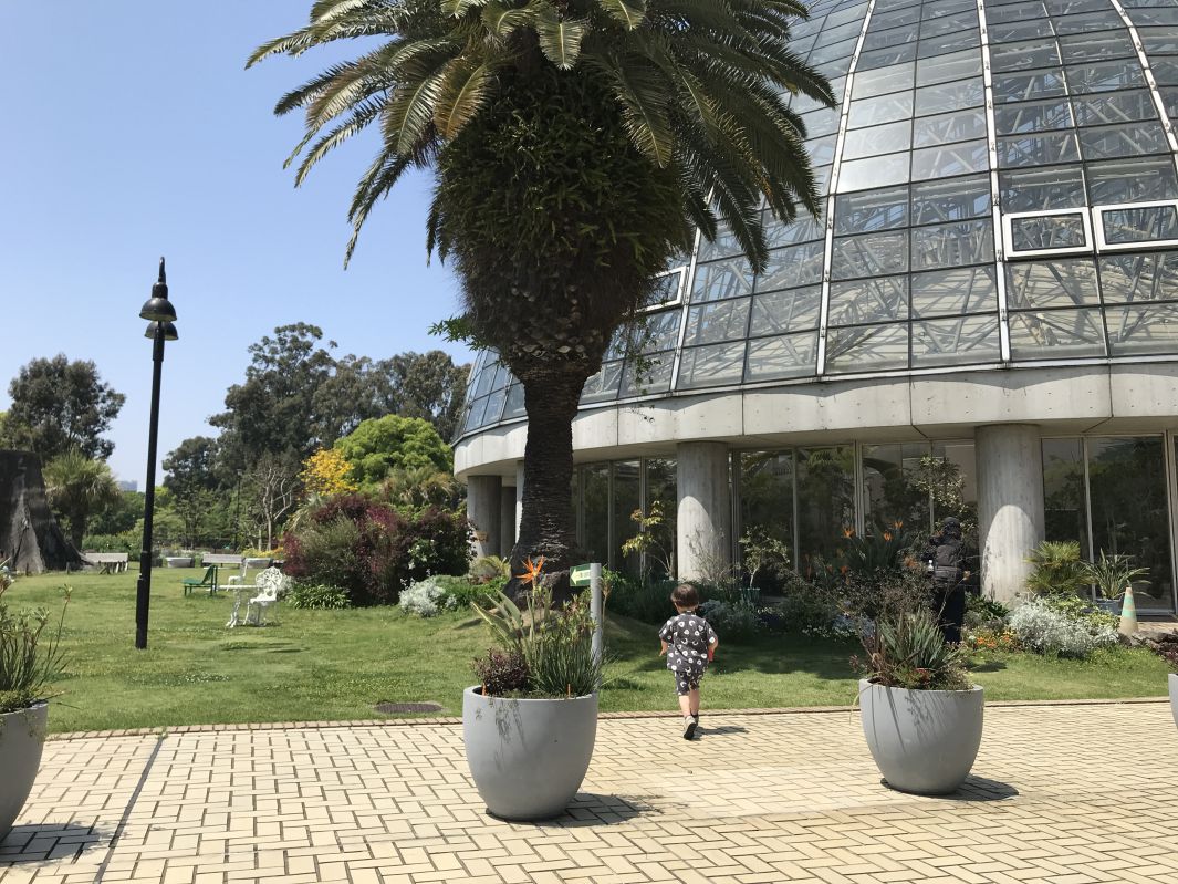 熱帯植物園前の園庭