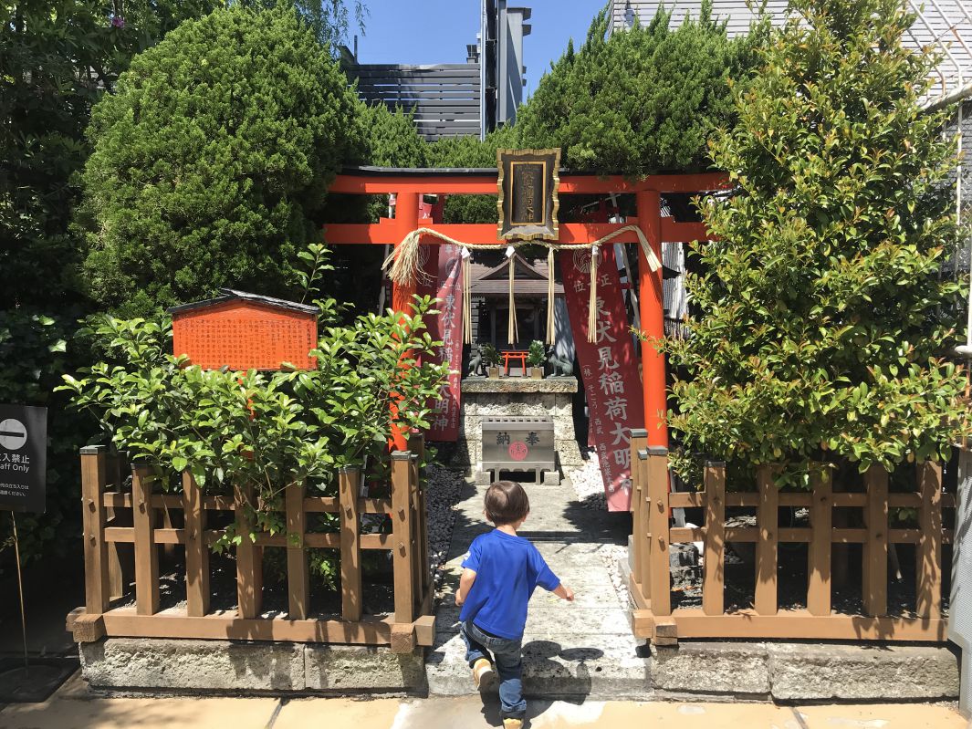 稲荷神社に駆け込むコニー