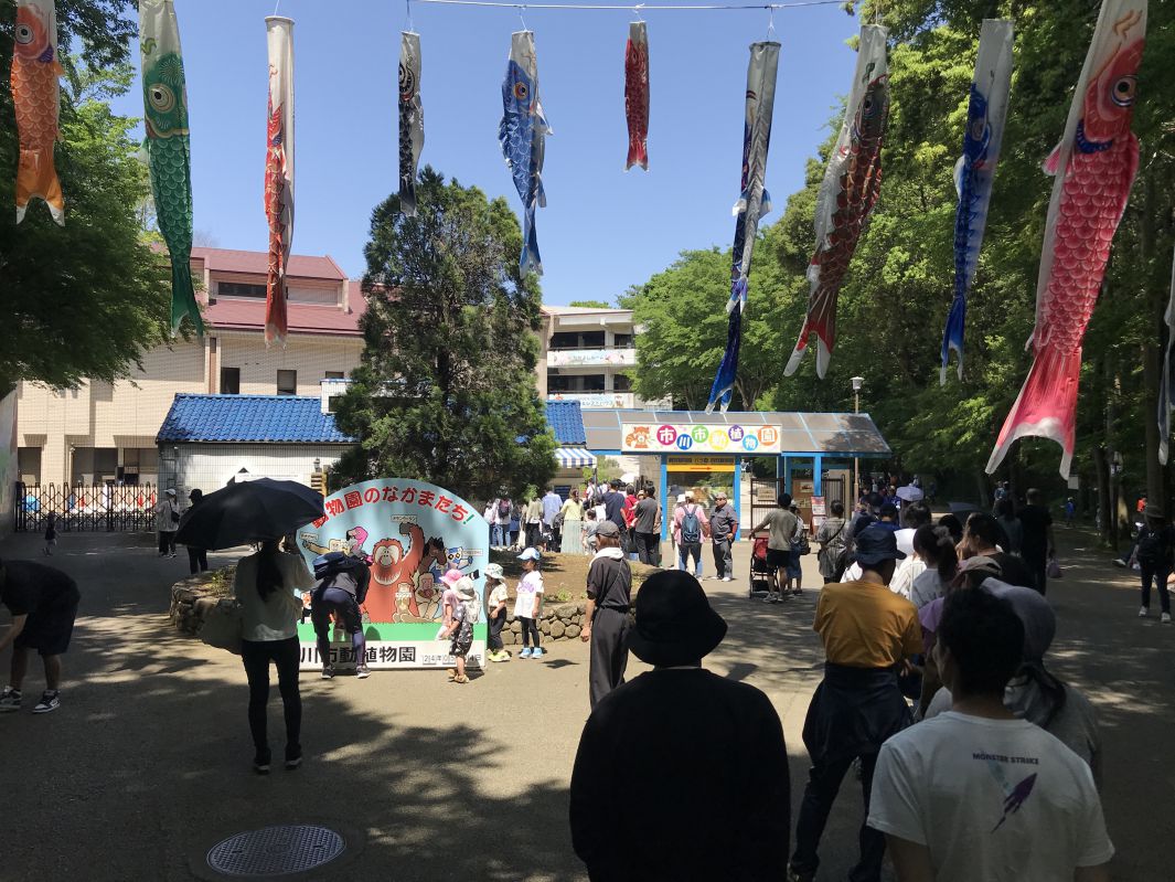 市川市動植物園のエントランスとこいのぼり