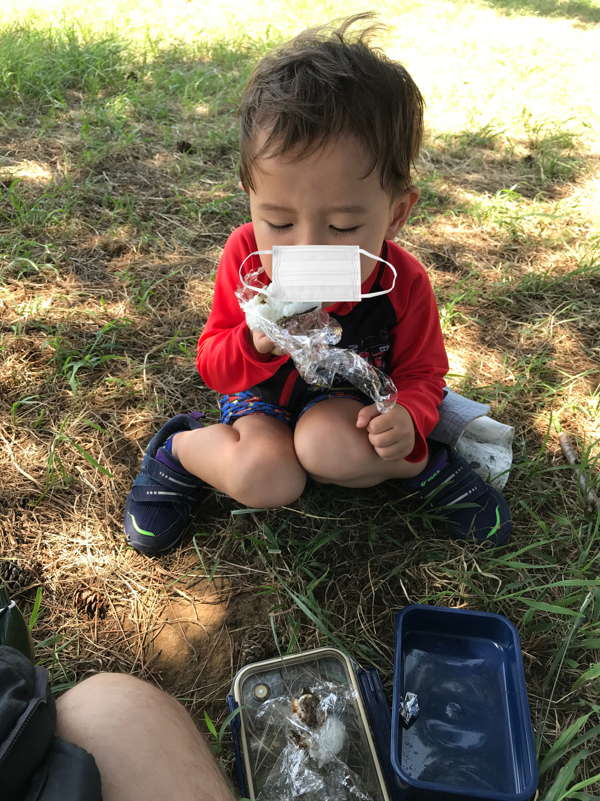 おにぎりを食べるコニー