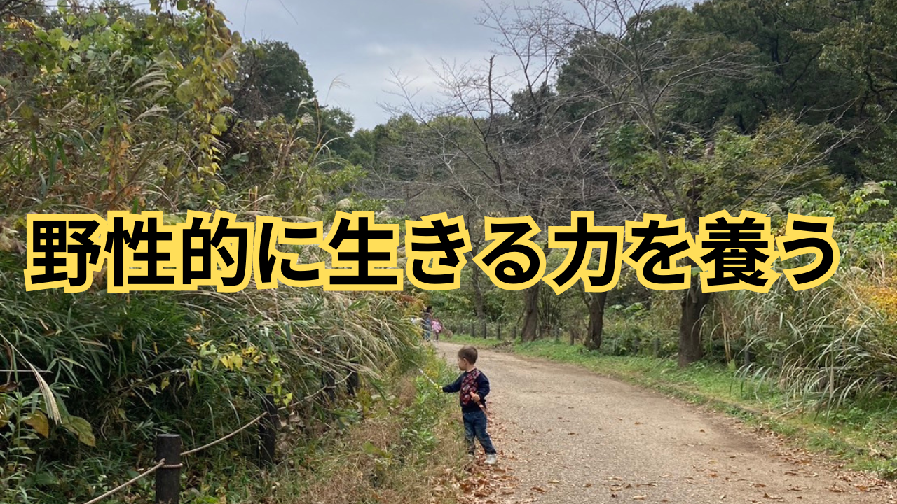 野性的に生きる力を養うサムネ