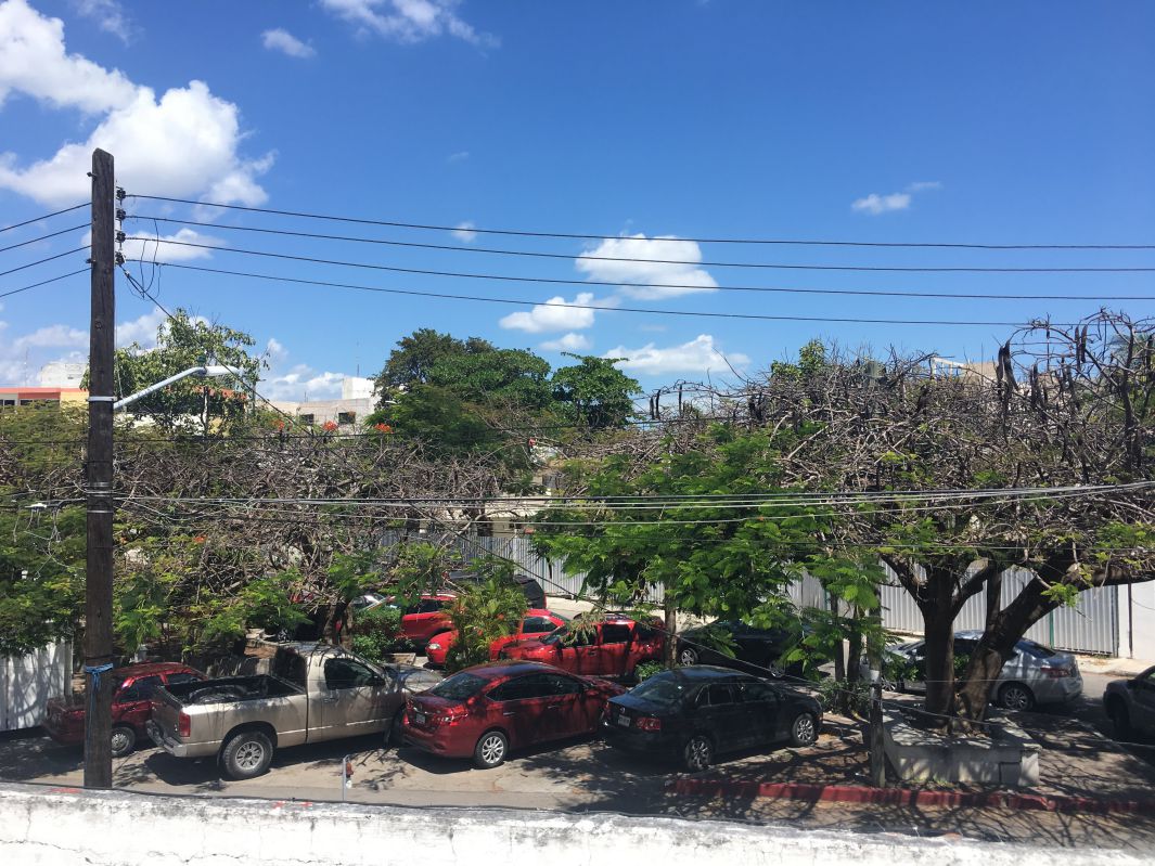 宿からの景色