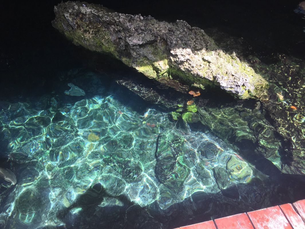 セノーテの水底