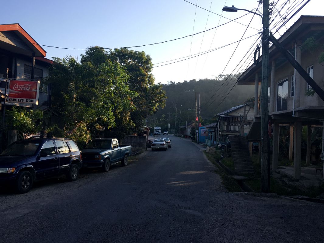 朝の道路