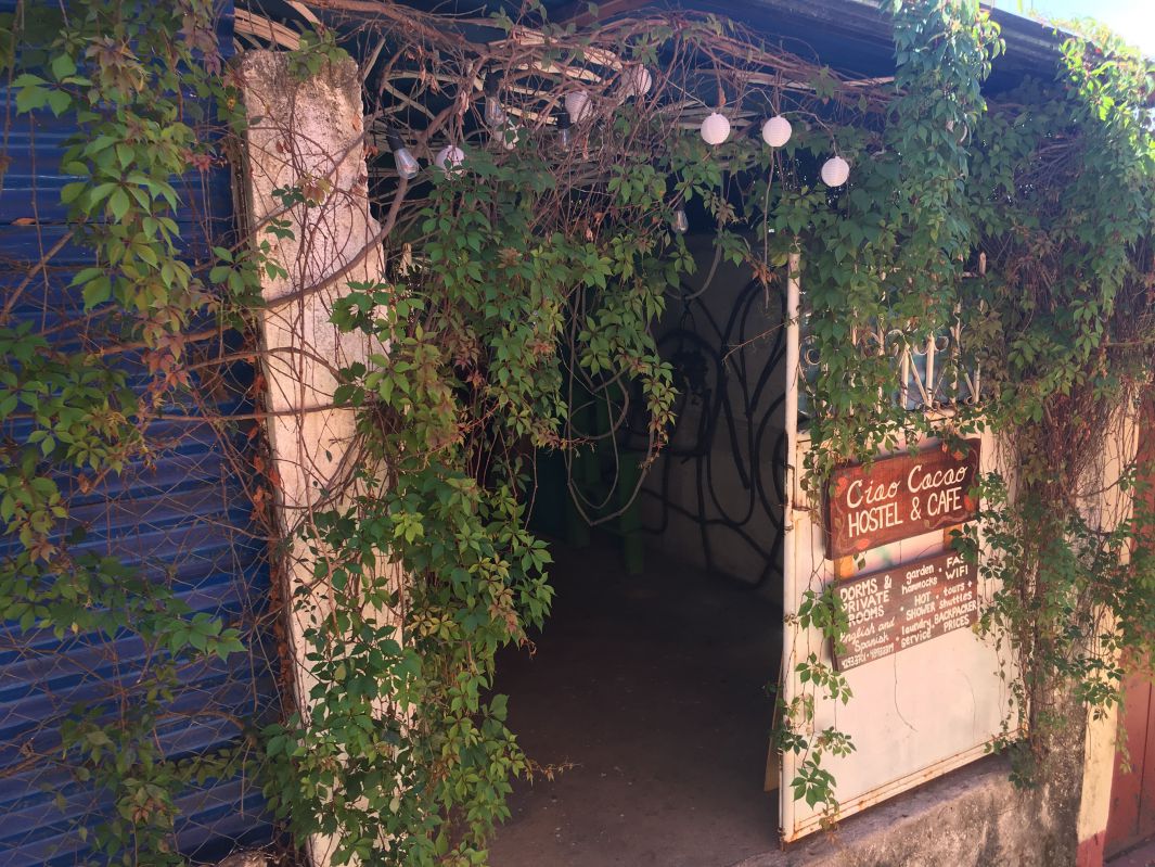 草がかかった建物の入り口