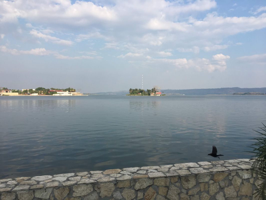 朝の湖