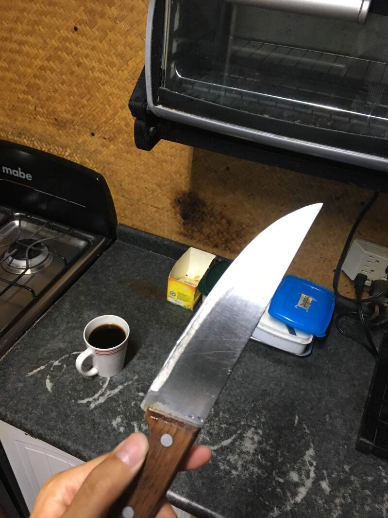 研いだ包丁