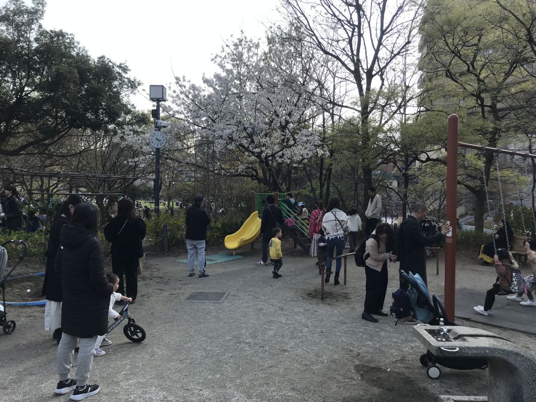 公園