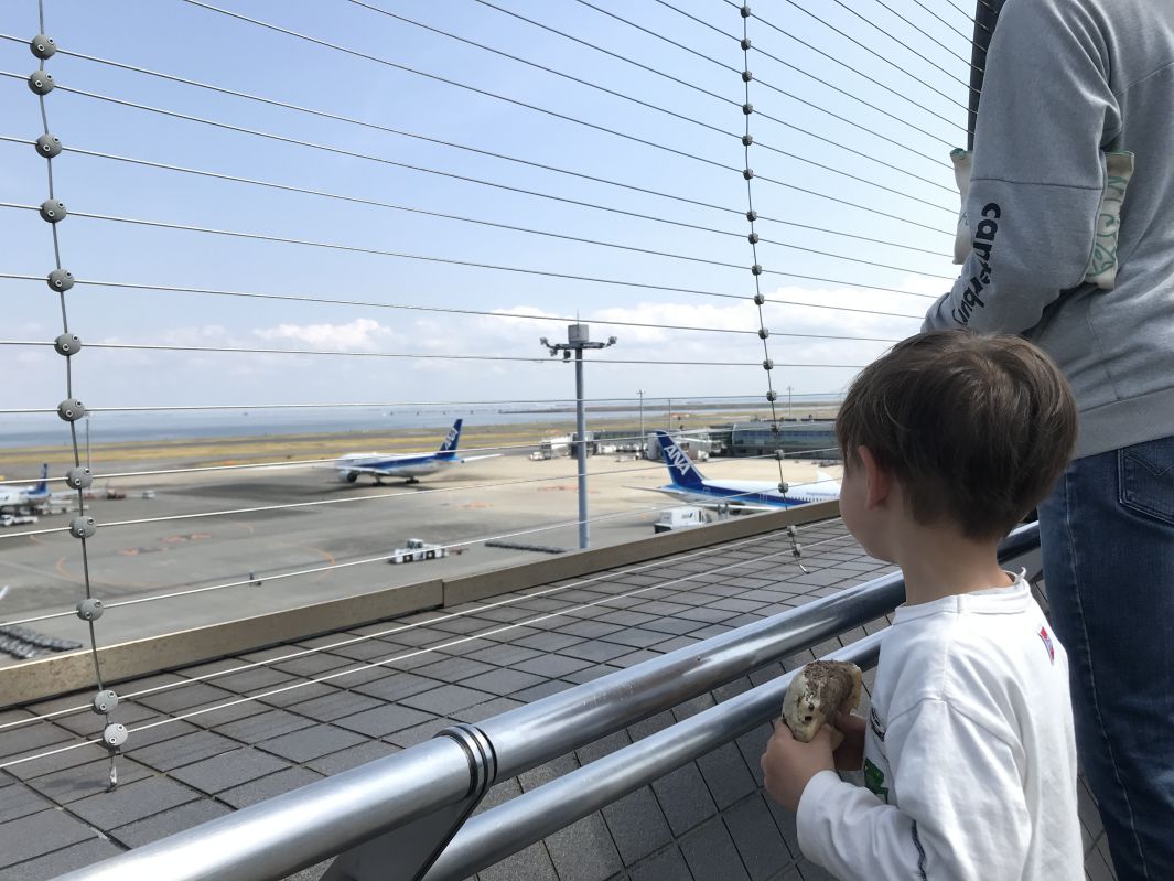 飛行機を見る