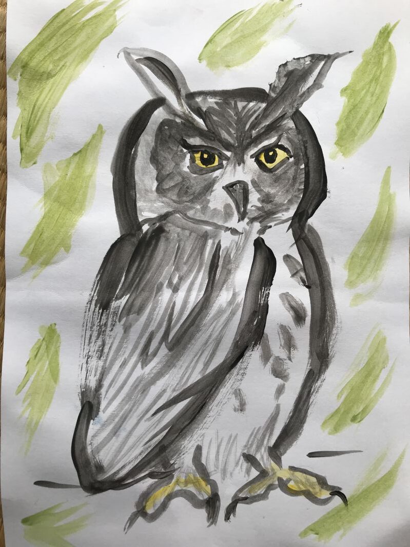 フクロウの絵