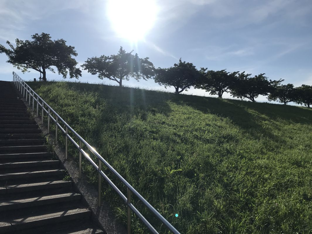 土手を登る