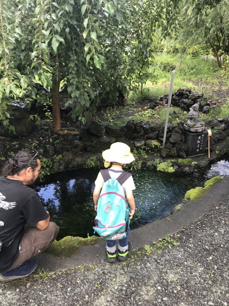 魚もいる池