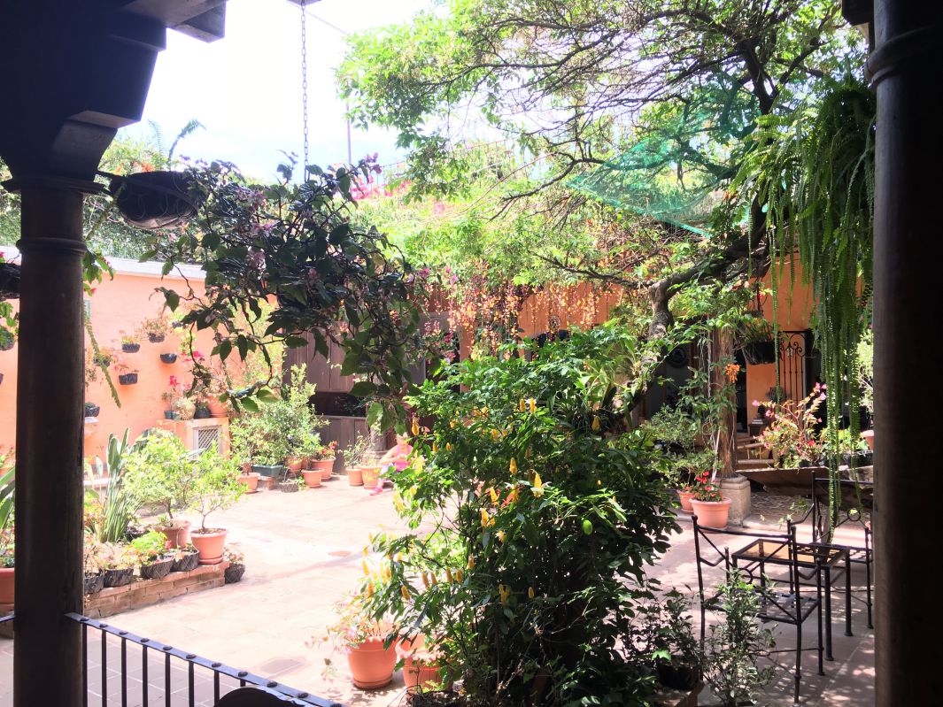 木がいっぱいの中庭