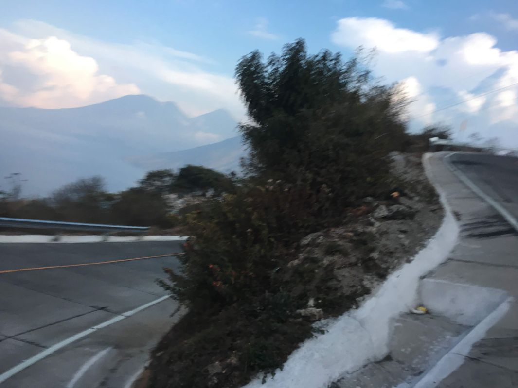 窓から見る山道の道