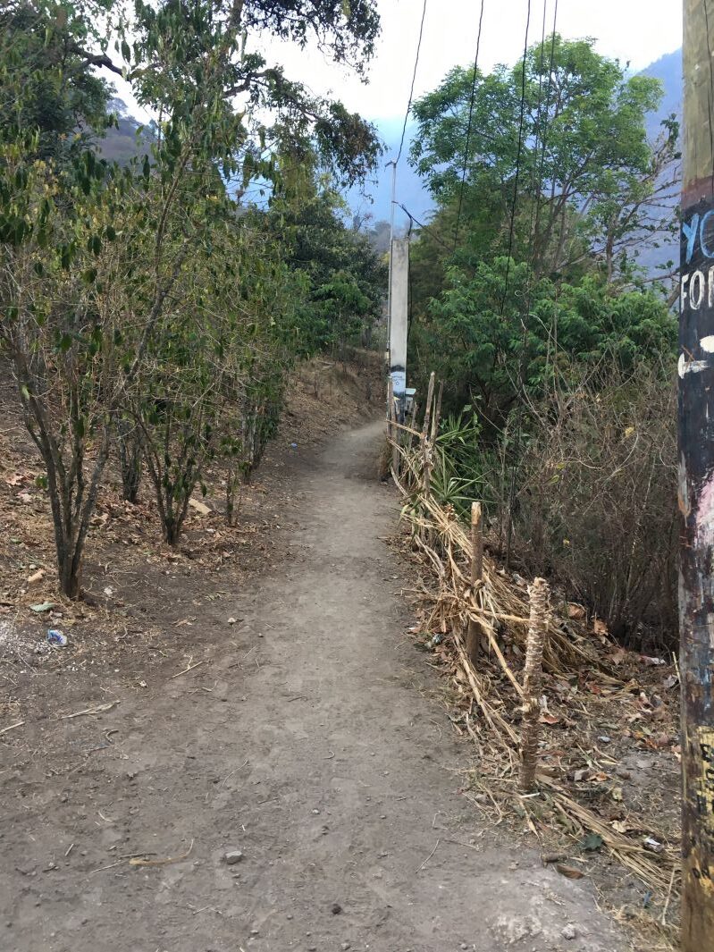 よく分からない道