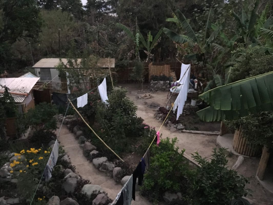 2階から見る宿の庭