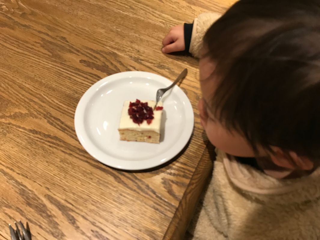 クランベリーバーを食べるコニー