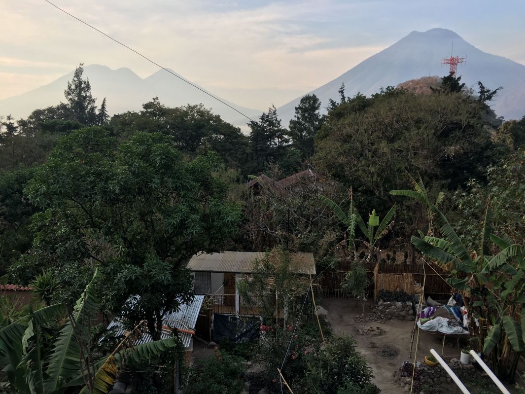 屋上から見える庭と山