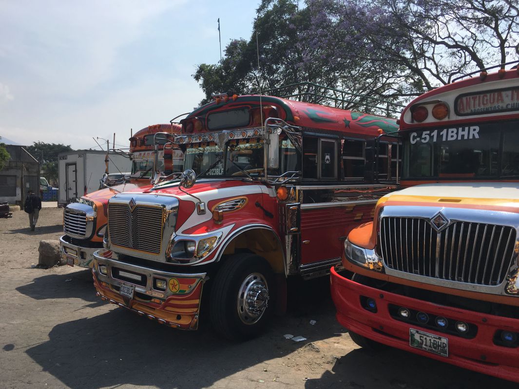並ぶチキンバスたち