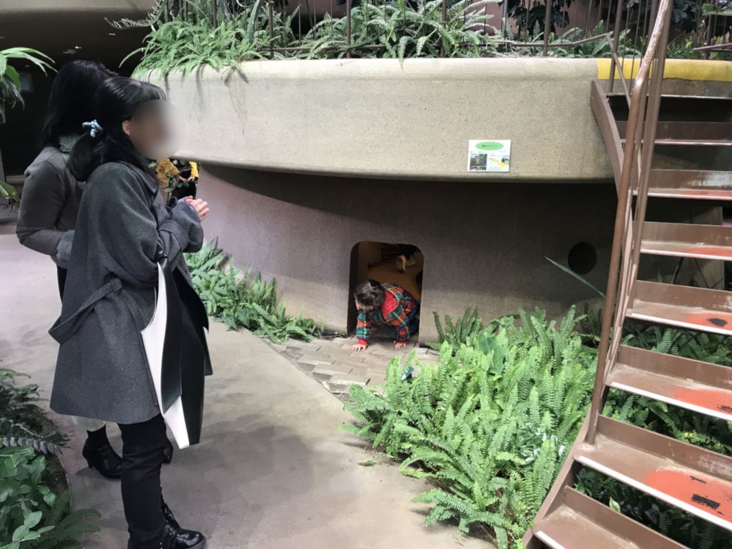 潜り込んで遊ぶコニー