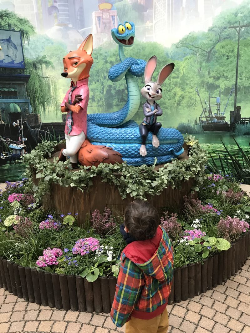 ズートピア2の写真撮るところ