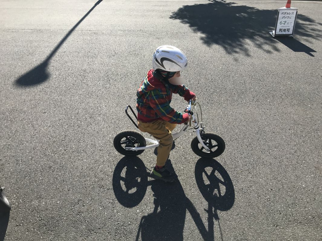 ストライダーに乗るコニー