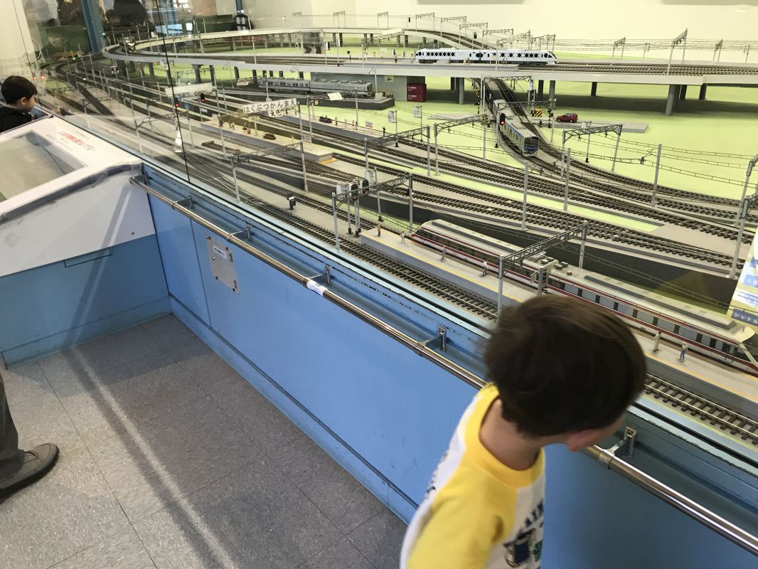 電車をずっと眺めているコニー