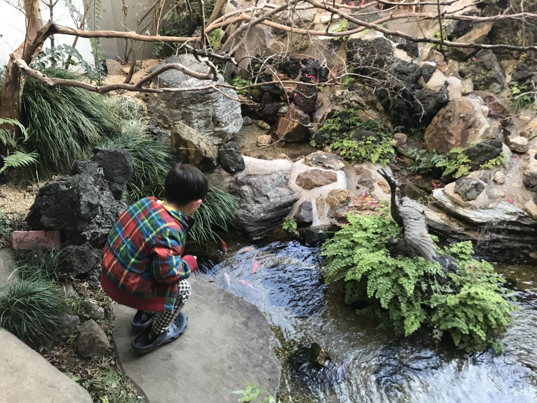 池を眺めるコニー