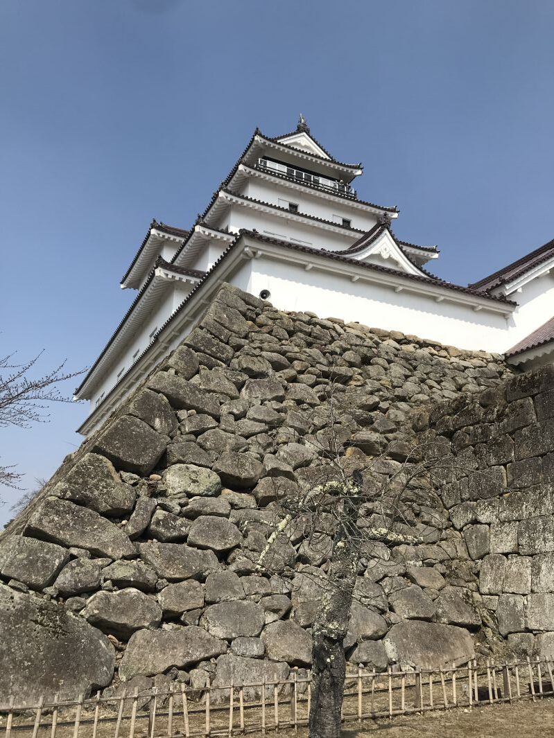 降りて見上げる鶴ヶ城