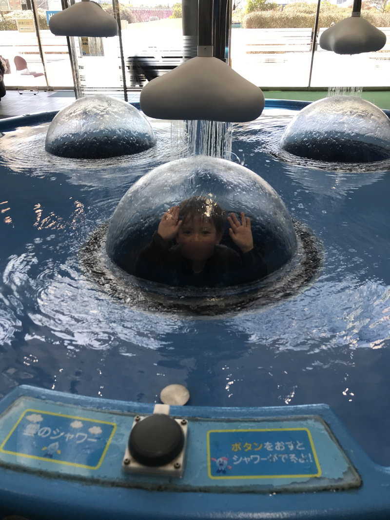 シャワードーム