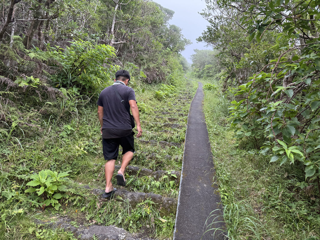 山登り開始