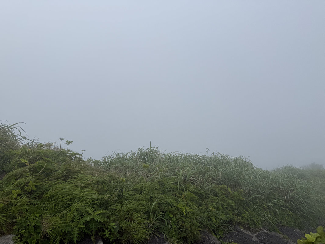 何も見えない