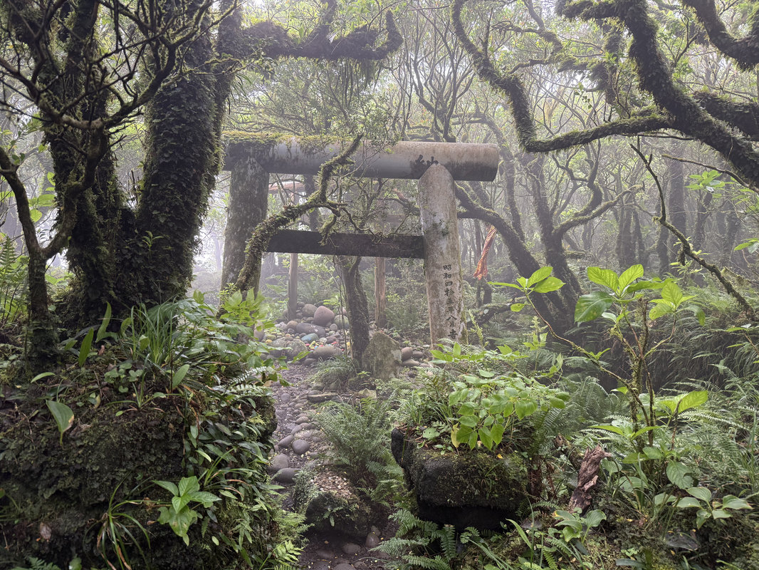 浅間神社の鳥居